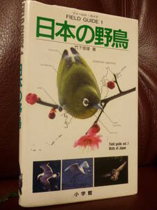  prompt decision *[ japanese wild bird ] bamboo under confidence male field * guide 1 * photograph * illustrated reference book / Shogakukan Inc. ( regular price 1800 jpy )* postage 185 jpy ~