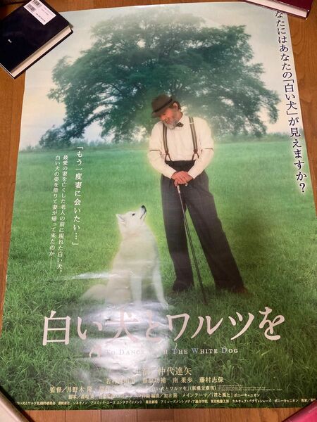 月野木隆 監督 白い犬とワルツを 大型映画ポスター