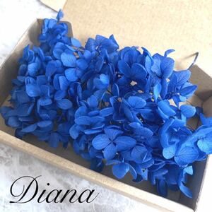 Голубая гидрангея гидрангея сохраненный цветочный материал