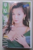 フジテレビ　華原朋美　PARADOX　VHS_画像1