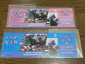 【BBB】競馬　記念入場券　2005 第30回エリザベス女王杯　2枚まとめて　アドマイヤグルーヴ