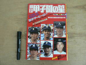 輝け甲子園の星 日刊スポーツ出版社 増刊 1993年夏の大会号 第75回全国高校野球選手権記念大会速報 倉則彦 高橋尚成 奥野桂