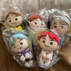 BTS TinyTAN★タイニータン ちょっこりさん★5体セット★ぬいぐるみ タグ付き