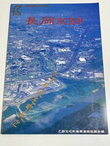 300-D17/長岡京跡/乙訓文化財事務連絡協議会/1984年/京都府向日市