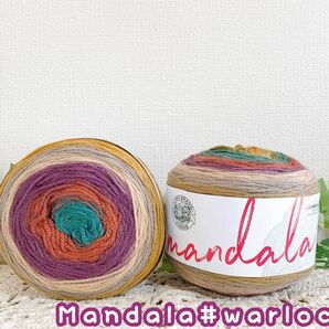 【p119】mandala＊2玉セット＊1玉150g540m＊cakeyarn＊LIONBRAND＊アクリル毛糸