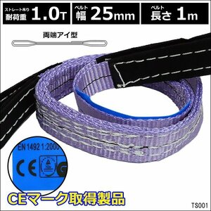 CE規格品 ナイロンベルトスリング ストレート吊1T 25mm×1m [1本] 両端アイ型/8Э