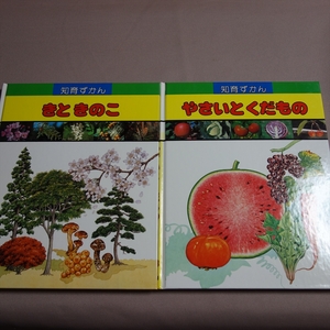 【送料込み】 きと きのこ やさいとくだもの 知育ずかん 12 13 巻 学研 学習研究社 / 図鑑 子ども向け 児童 木 野菜と果物