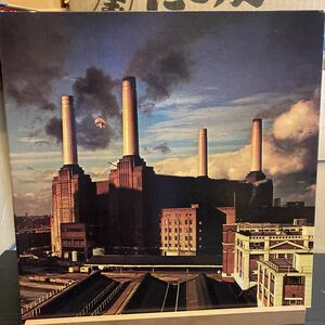 Pink Floyd 【Animals】25AP340 アニマルズ ピンク・フロイド PINK FLOYD プログレ 1977 progressive Rock
