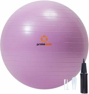 [ limitation brand ] Prima so-re(primasole) fitness ball [45cm] air pump attaching exercise ball fitness pilates 