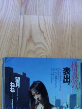 週刊 プレイボーイ ● 1998年3月3日 No.9　永作博美 永松恵子 岡田陽子 岡村みほ 岡村しほ 風間麻衣 望月ねね 雑誌 本_画像8