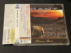 ☆彡希少盤/TERRY BLOCK◆HR,メロハー,AOR◆GIANT/PROMISE LAND