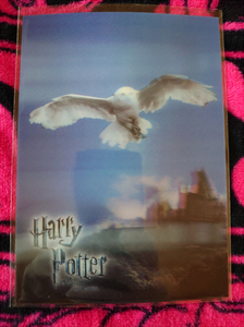 ハリーポッター　チェンジリングポストカード　３Ｄカード Harry Potter シロフクロウ