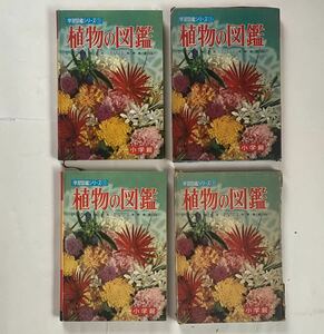 小学館 学習図鑑 1 植物の図鑑 新旧版違いセット 自由研究 昭和時代レトロ 学習図鑑 中古 古本 昭和レトロ