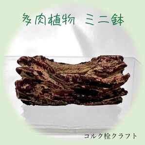 多肉植物 ミニ鉢 花器 プランター　　　　　ヨコ