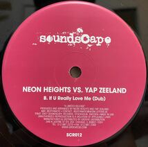 Neon Heights vs. Yap Zeeland - If U Really Love Me /Soundscape /STEVIE WONDER カヴァー_画像2