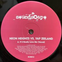 Neon Heights vs. Yap Zeeland - If U Really Love Me /Soundscape /STEVIE WONDER カヴァー_画像1