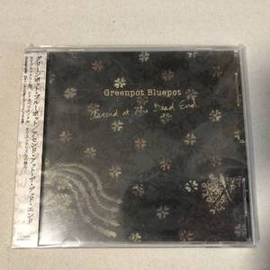 Greenpot Bluepot CD Natalie Rose LeBrecht Animal Collective Black Dice アヴァンギャルド エクスペリメンタル