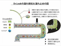 即納1本有 ドクターリーク Dr.Leak PAGタイプ 蛍光剤潤滑油入り漏れ止め剤 エアコンガス漏れ止め剤 ノンポリマー R134aガス 50g 1本 LL-DR1_画像4