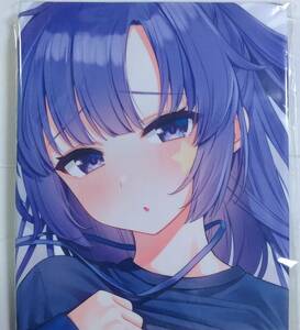 SJ Yuka Hayasa Pillowcase Гимнастика одежда AquaV