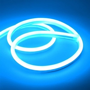  free shipping neon tube manner light 5m 12V LED strip SMD 2835 120LEDs /M tube light illumination blue 