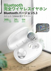 bluetooth5.3 ワイヤレスイヤホン 小型/軽量 イヤホン Bluetooth HiFi ブルートゥース AAC対応