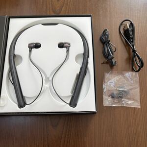 508a1036☆ ソニー ワイヤレスイヤホン h.ear in 2 Wireless WI-H700 : Bluetooth/ハイレゾ対応 最大8時間連続再生 カナル型 マイク付き