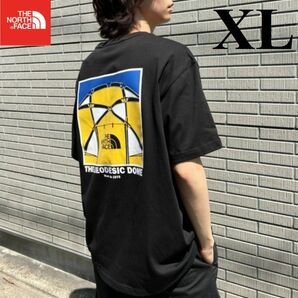 THE NORTH FACE ノースフェイス Tシャツ 半袖 綿 メンズ レディース 抗菌 バックプリント 黒色/XL K459C