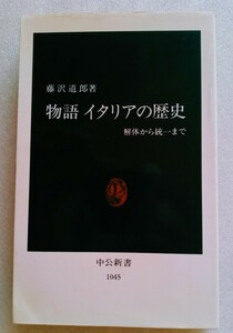 物語 イタリアの歴史 解体から統一まで 藤沢道郎 1993年6月10日4版 中央公論社 ※難あり