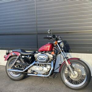  Harley Davidson sport Star 1987 year of model XLH883