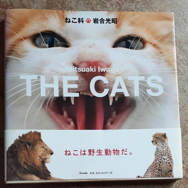 THE CATS ねこ科　