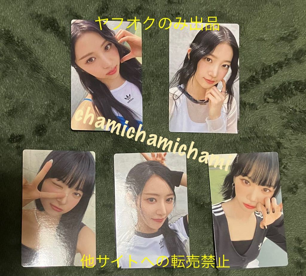 ヤフオク! -「桜」(その他) の落札相場・落札価格(6ページ目)