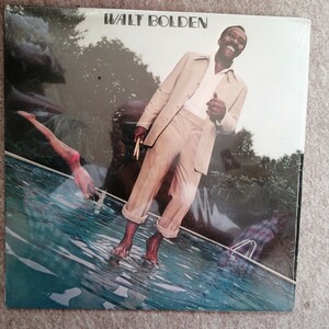 LPレコード　Walt Bolden　ウォルター・ボールデン　輸入盤　新品同様シュリンク付美品　レア盤