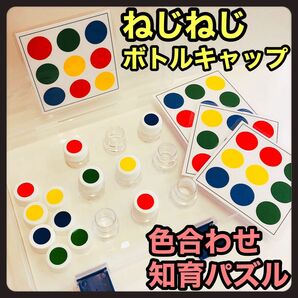 モンテッソーリ パズル ねじまわし【知育玩具 保育教材 発達療育 リハビリ】