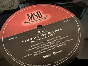 12”★Milo / Jungle Of Mirror / プログレッシブ・ハウス！