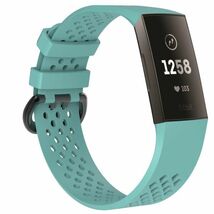 Fitbit Charge 3/4 バンド 交換ベルト シリコン メッシュ グリーン L_画像2