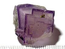 雲南省産紫蛍石・22・12g（中国産鉱物標本）_画像1