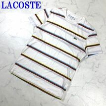 ラコステ 半袖Tシャツ 綿 ボーダー ワンポイント 白 LACOSTE コットン ホワイト 小さいサイズ XS C6407_画像1