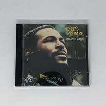 US盤 中古CD Marvin Gaye What's Going On マーヴィン・ゲイ ホワッツ・ゴーイング・オン Motown Master Series 個人所有_画像6