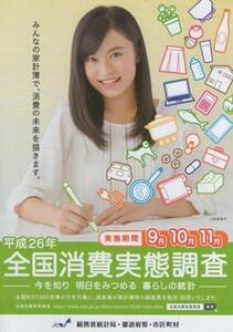 全国消費実態調査 小島瑠璃子さん A4判チラシ 非売品 こじるり 2014年