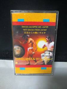 T5481　オルケスタ・デ・ラ・ルス　Orquesta De La Luz Salsa Caliente Del Japon Hot Salsa From Japan 日本からの熱いサルサ