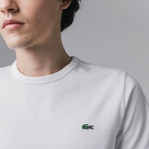 LACOSTE ラコステ スリムフィット クロコエンブレムクルーネックTシャツ ホワイト FR 4/US M 半袖 Tee ①_画像1