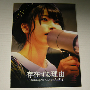 存在する理由 　　DOCUMENTARY OF AKB48　◆パンフレット◆中古品