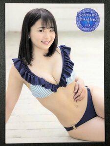 平嶋 夏海　vol.４　RG25　水着 AKB48 グラビア アイドル トレカ トレーディングカード