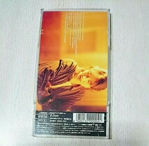 レア★状態良好♪ケース付【ZARD】君がいない★シングルCD★ザード 8cmCD 入手困難 bgram _画像4