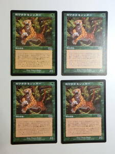 【MTG】飛びかかるジャガー　日本語4枚セット　ウルザズ・サーガ　USG　コモン