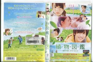 e0665 ■ケース無 R中古DVD「植物図鑑 運命の恋、ひろいました」岩田剛典/高畑充希 レンタル落ち