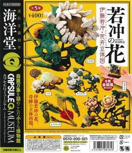 ガチャ　海洋堂カプセルQミュージアム『若冲の花 伊藤若冲・花卉立体図』 　全５種セット