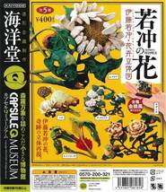 ガチャ　海洋堂カプセルQミュージアム『若冲の花 伊藤若冲・花卉立体図』 　全５種セット_画像1