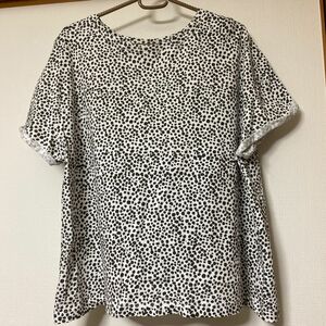 ZARAアニマルドット柄Tシャツ