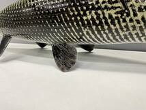 ◆管1149◆全国送料無料◆アリゲーターガー 魚模型◆ハンドメイド◆怪魚 淡水魚 オブジェ フィギュア_画像4